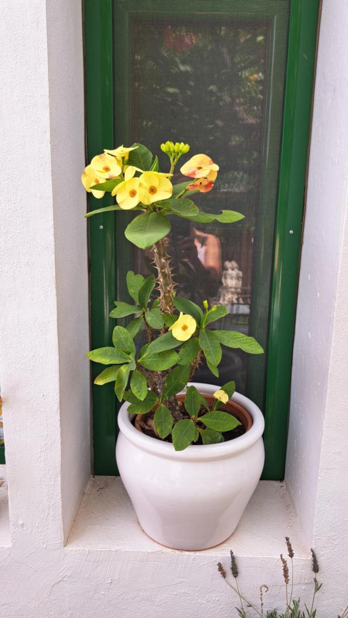 Country house Casa Santana Segura Tejeda (Gran Canaria)