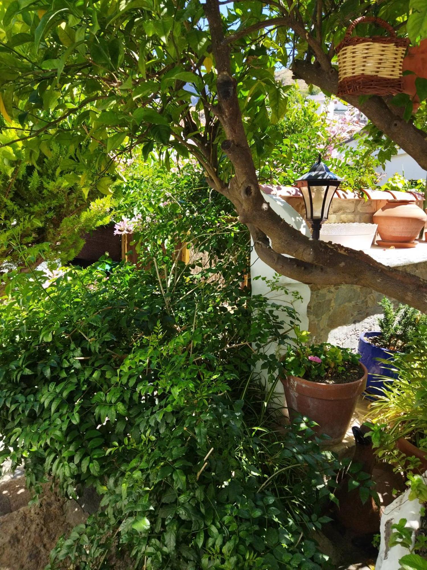 Country house Casa Santana Segura
